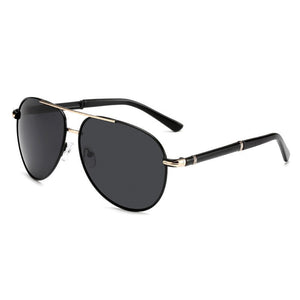 Pilot Polarized Sunglasses