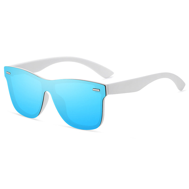 Polarized Sunglasses